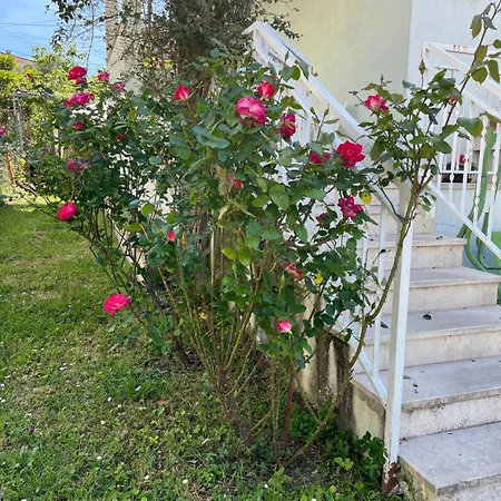 Sweet With Garden Split